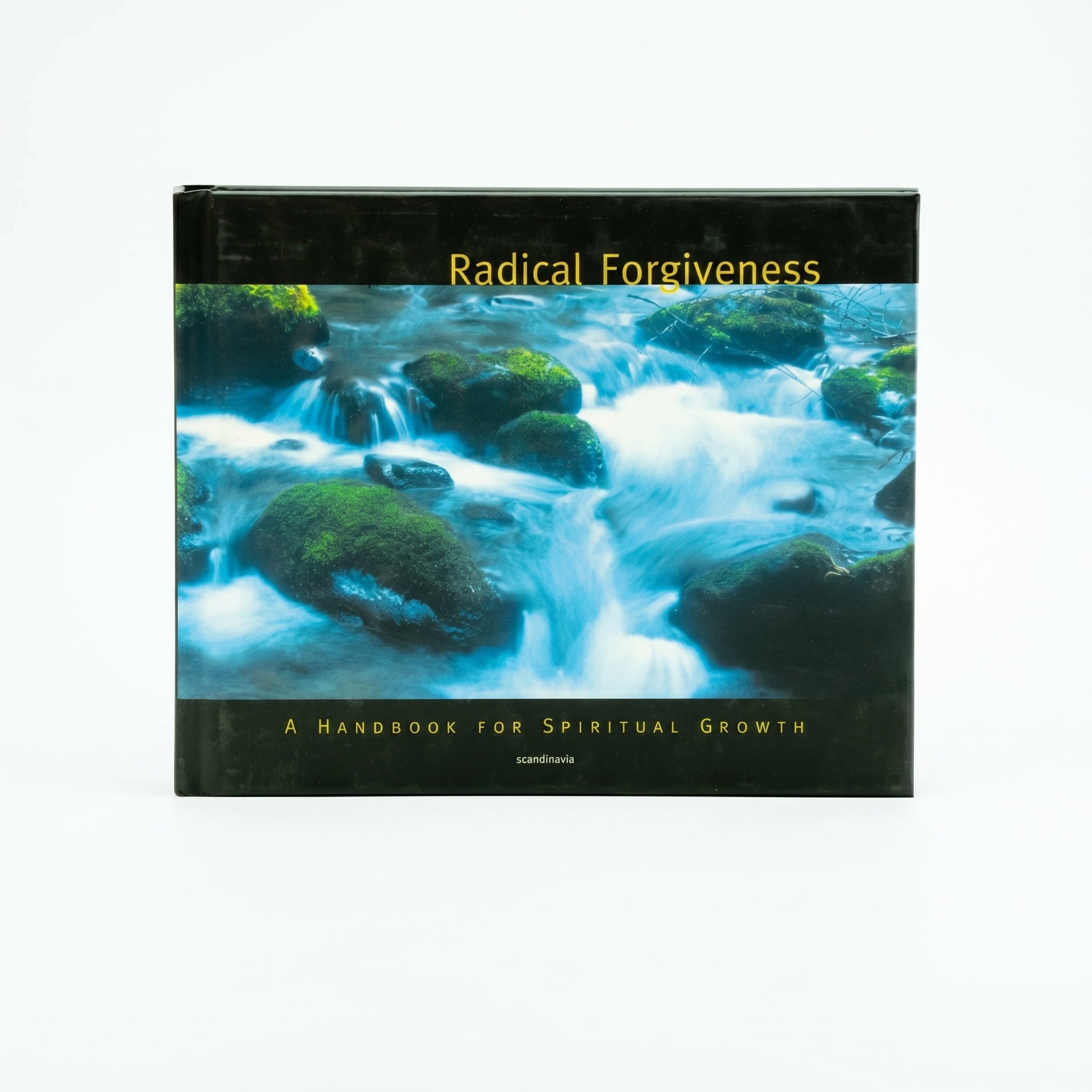 Studio photo of Radical Forgiveness: A Handbook for Spiritual Growth in hero
