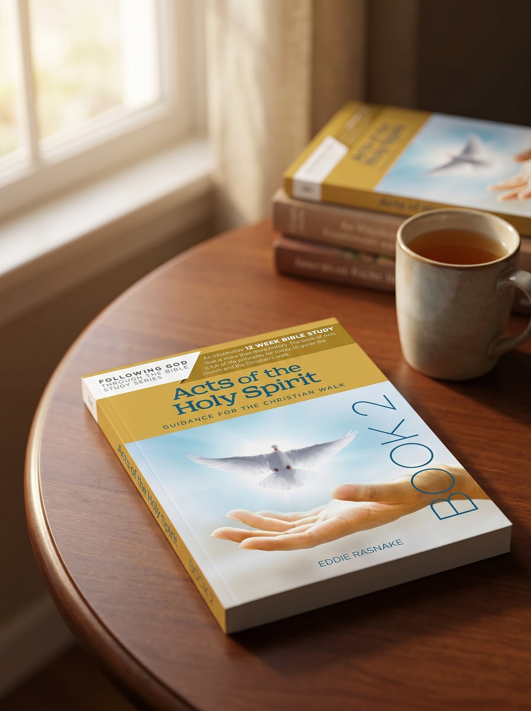 Studio photo of Acts of the Holy Spirit Book 2: Guidance for the Christian Walk in lifestyle