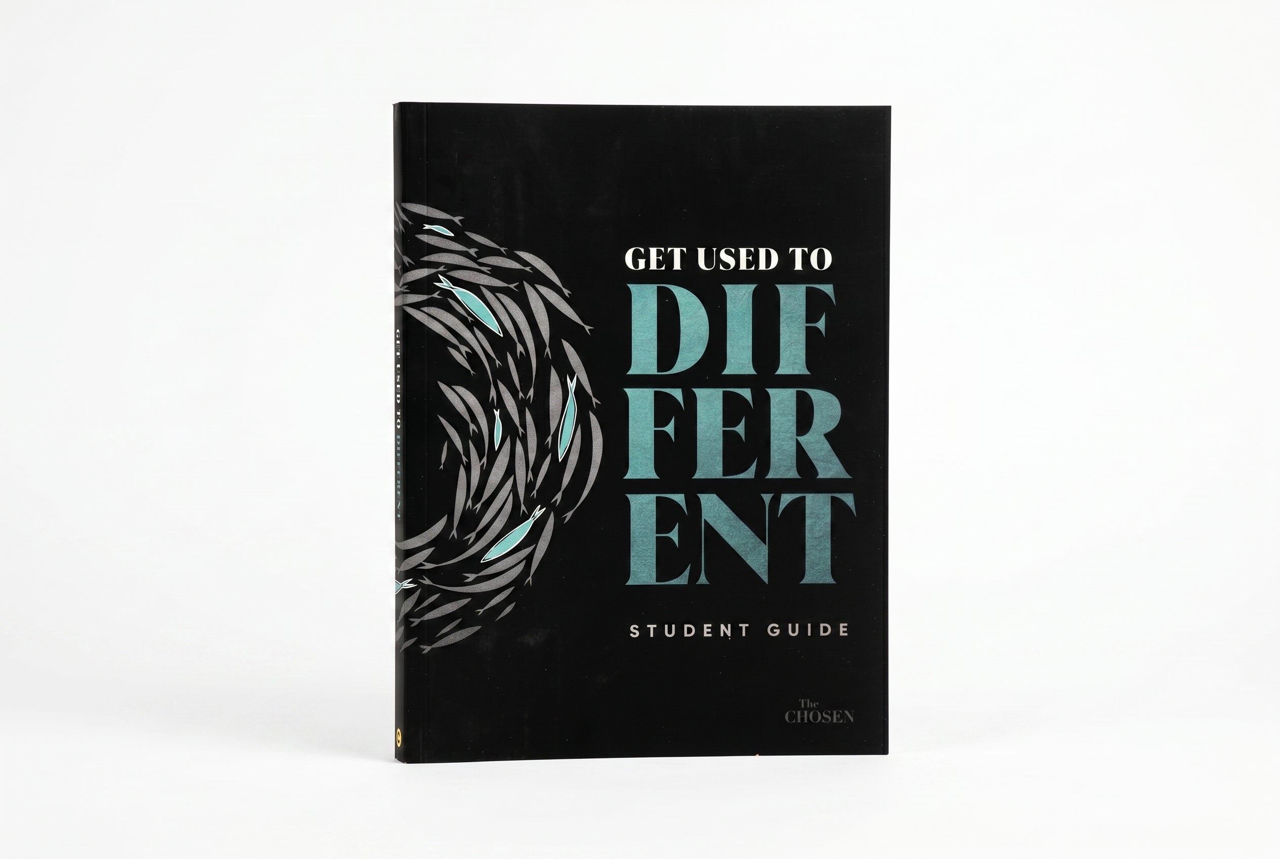 Studio photo of Get Used to Different: A Student Guide in hero