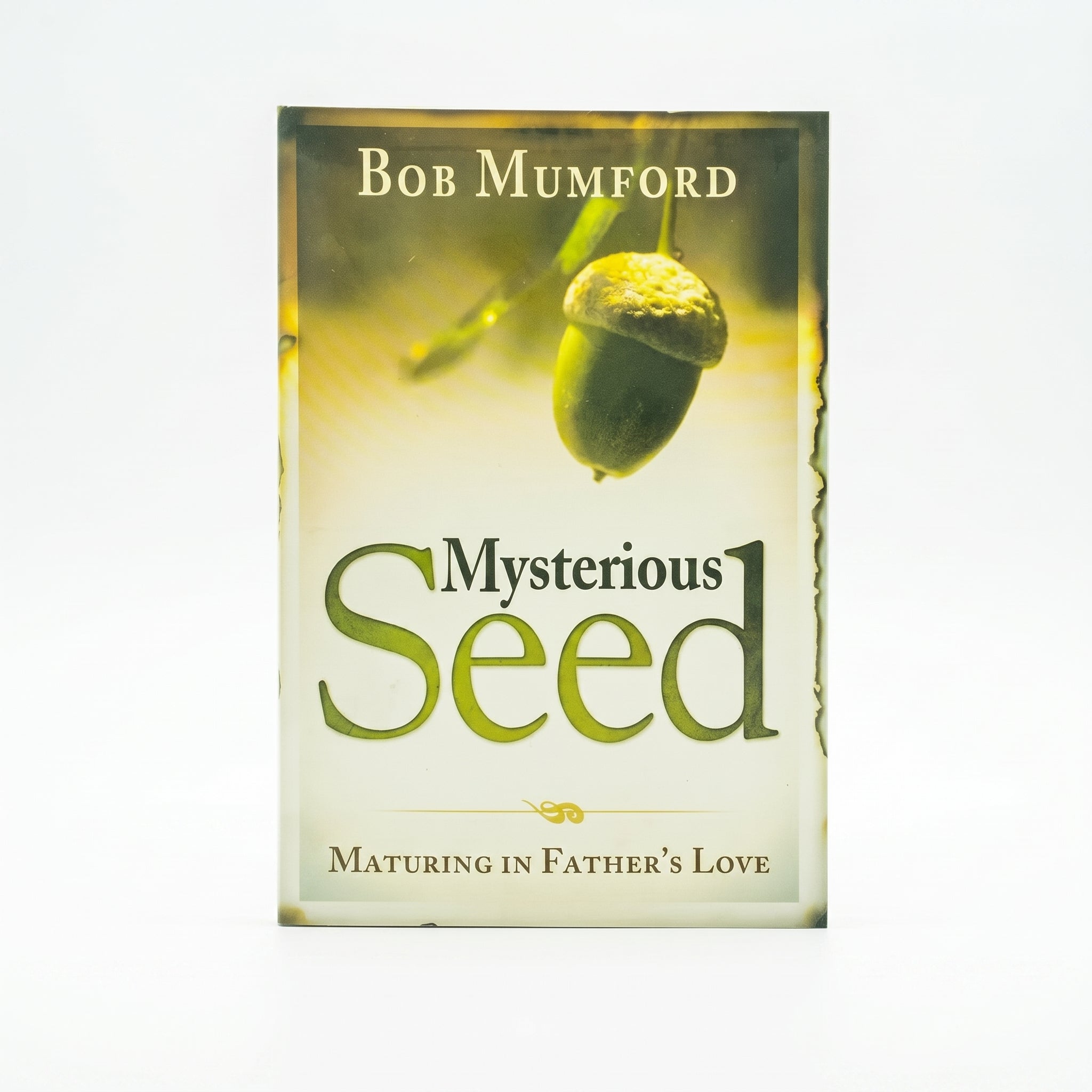 Studio photo of Mysterious Seed: Maturing in Father's Love in hero