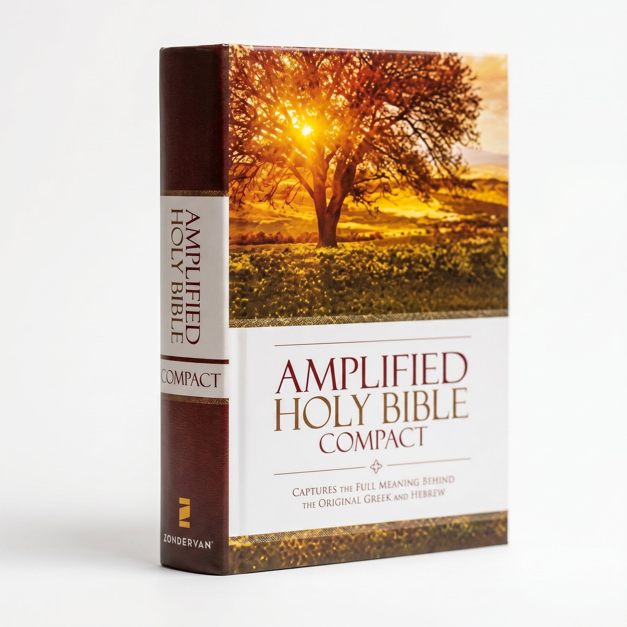 Studio photo of Amplified Holy Bible, Compact, Hardcover: Captures the Full Meaning Behind the Original Greek and Hebrew in detail