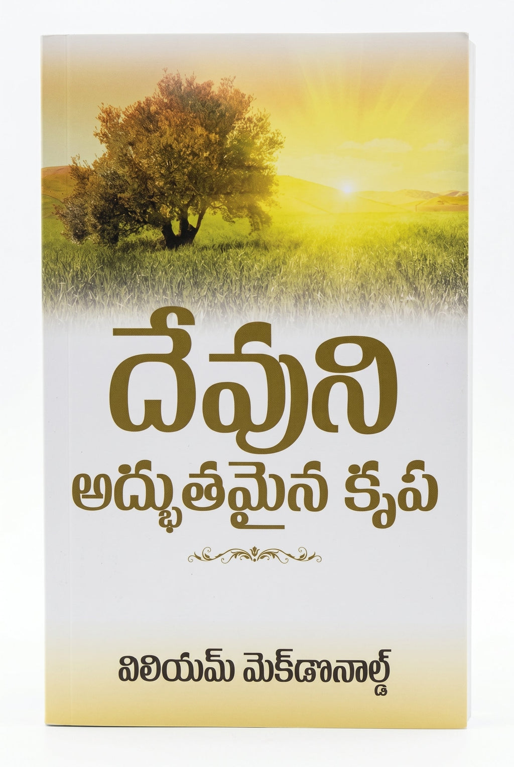 Studio photo of God's Amazing Grace (Telugu) in hero
