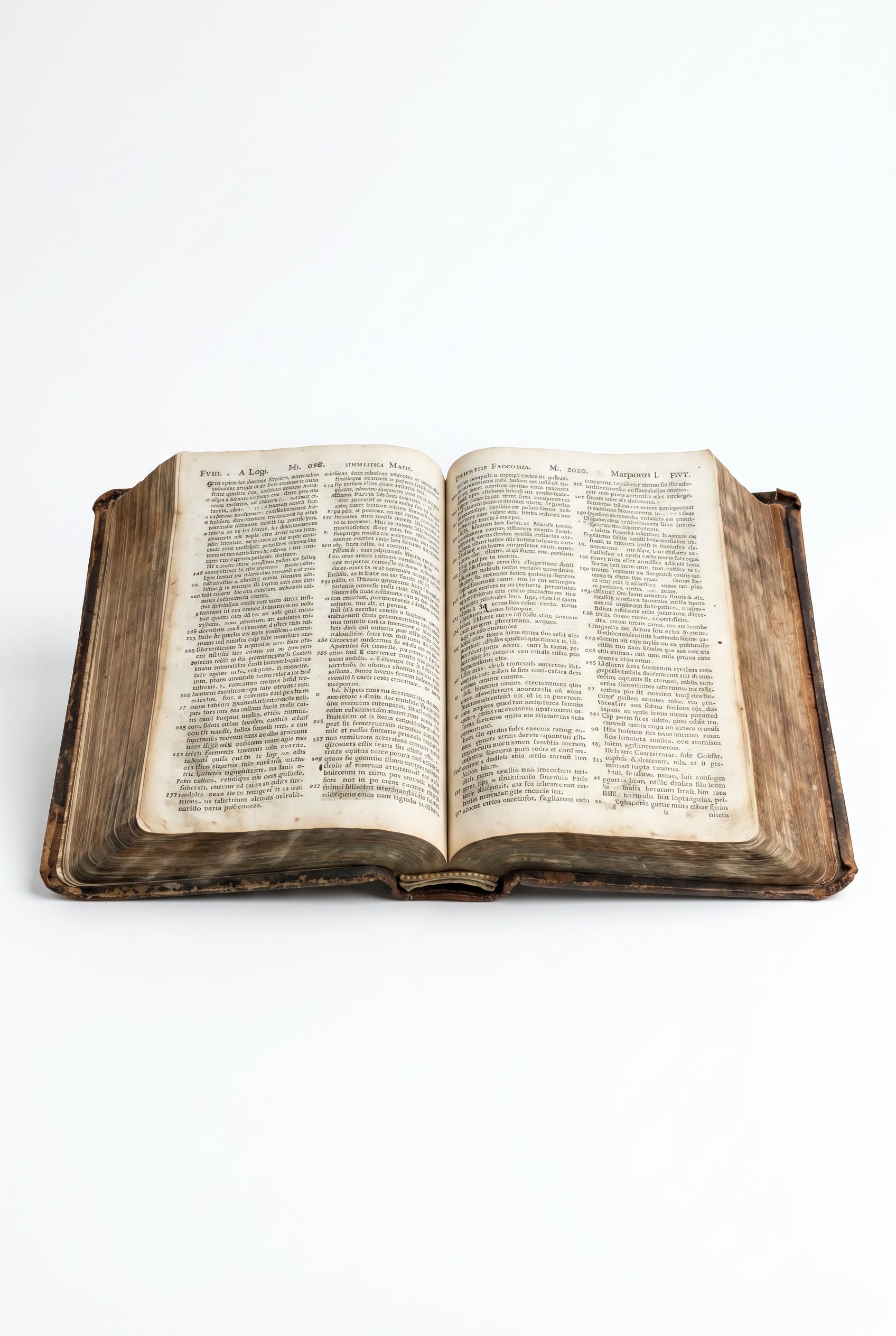 Studio photo of Predestination in Early Modern Reformed Theology in hero