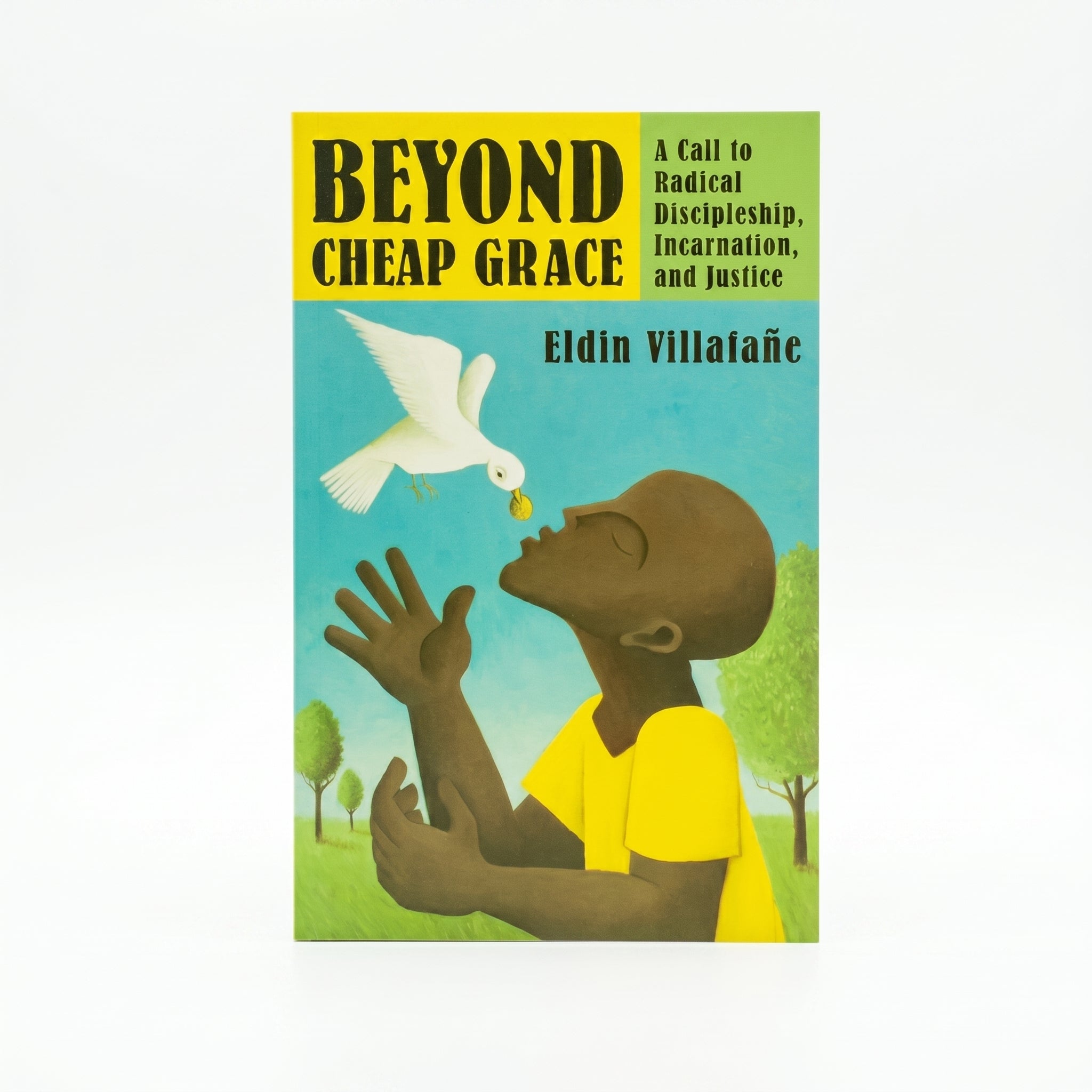 Studio photo of Beyond Cheap Grace: A Call to Radical Discipleship, Incarnation, and Justice in hero