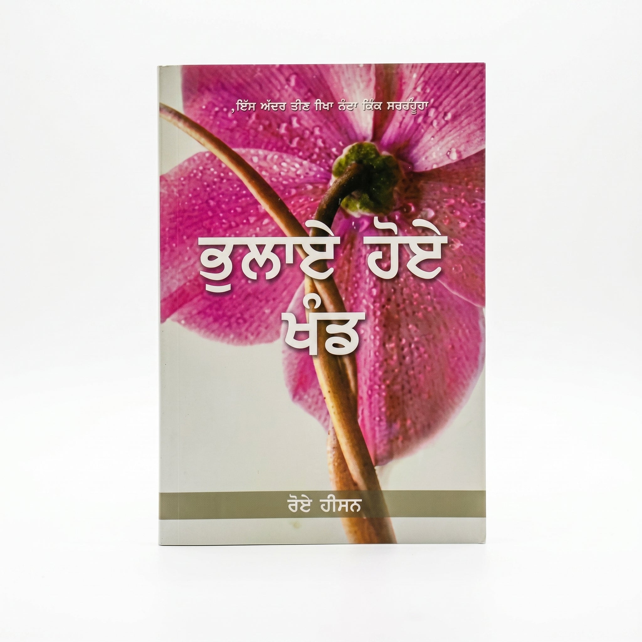 Studio photo of Forgotten Factors (Punjabi) in hero
