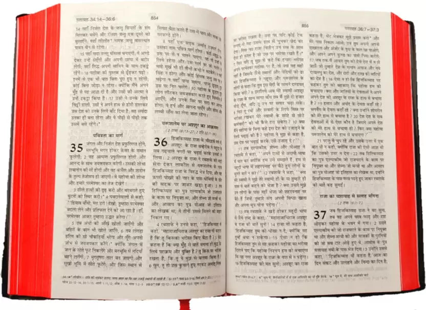 Complete Hindi Holy Bible - BSI version with authoritative Old and New Testament