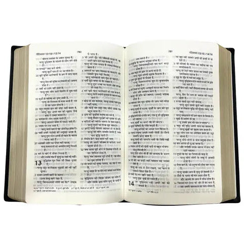 BSI Vinyl Crown Hindi Holy Bible - Blue Edition