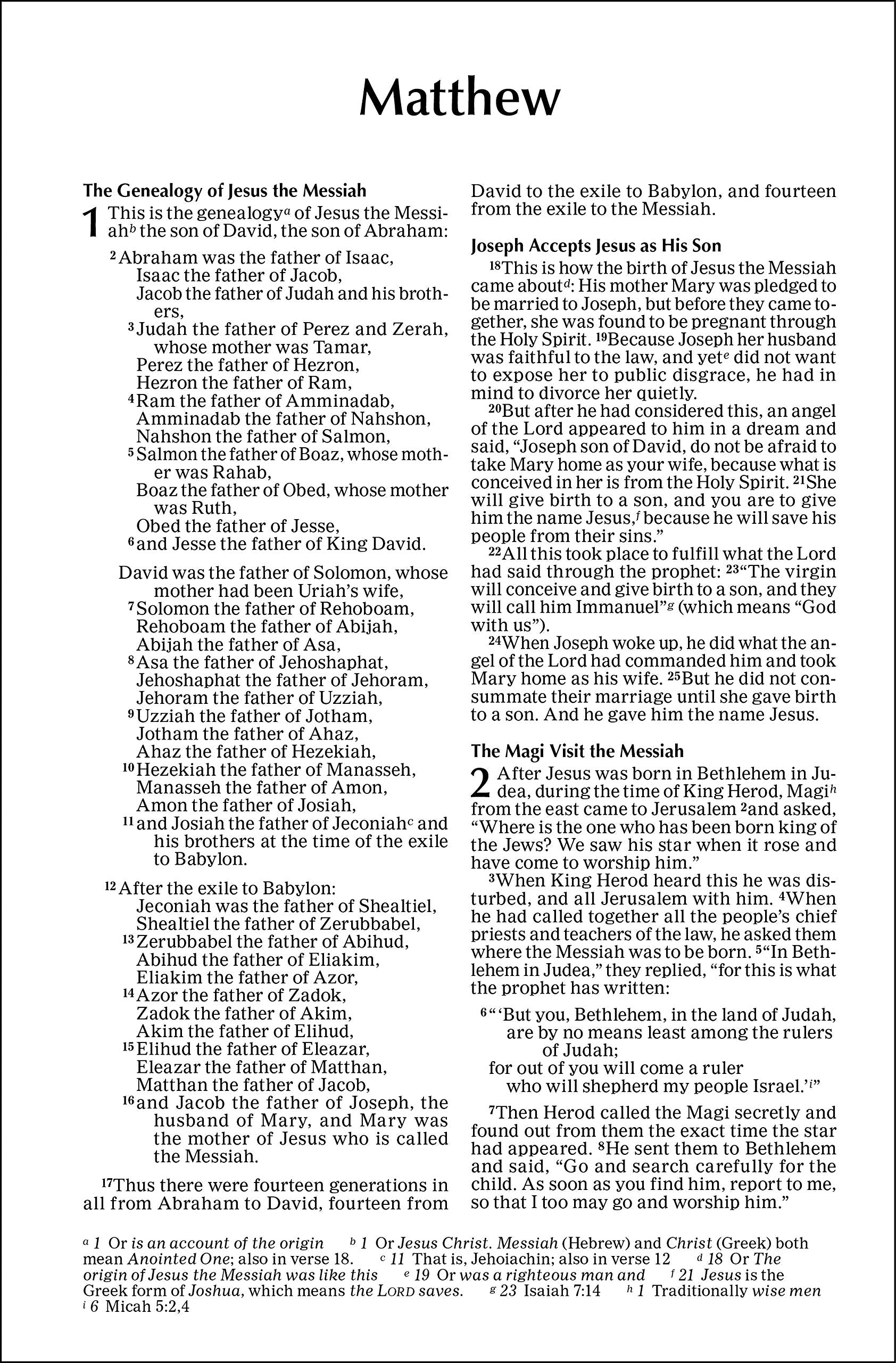 Outreach New Testament: New International Version, Green Forest Path Paperback – Special Edition