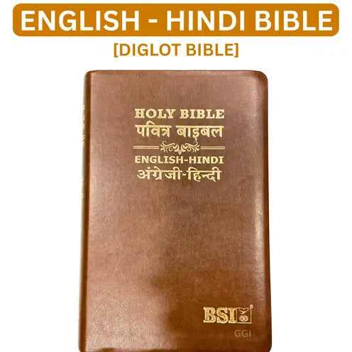 Holy Bible: Hindi-English Bilingual Diglot Edition