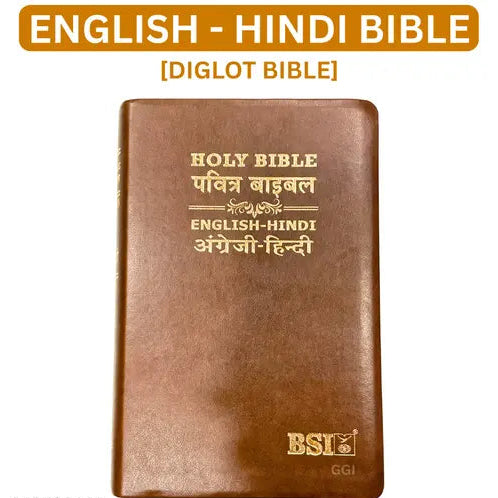 Holy Bible: Hindi-English Bilingual Diglot Edition