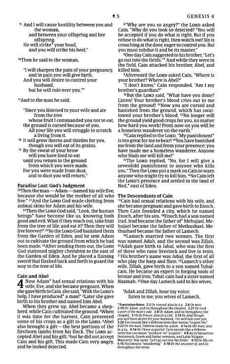 NLT Premium Value Thinline Bible: Dusty Pink Vines Leather-Like Cover (ISBN: 978196484789)