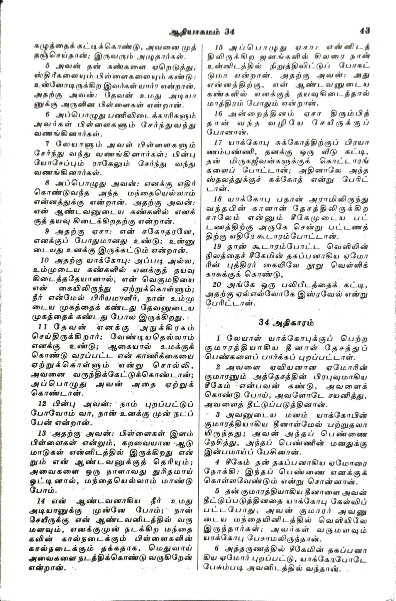 Tamil Bible, Semi-Compact Edition, Brown Cover, Open Type with Thumb Index (ISBN: 9788119095742)