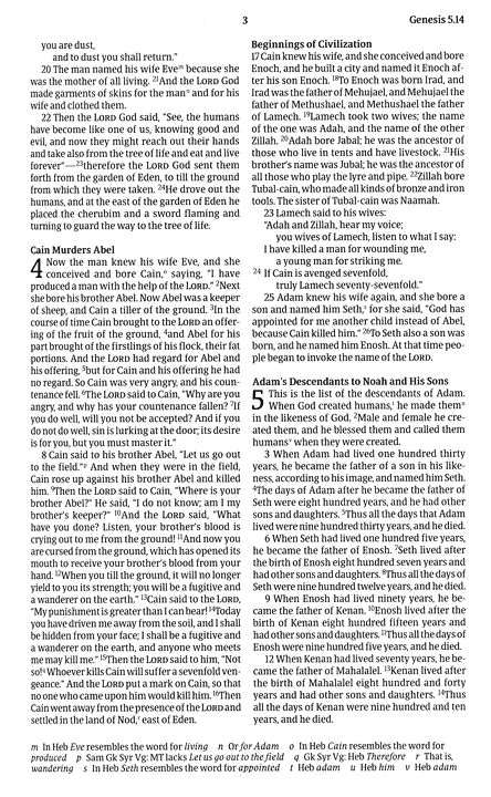 NRSV Children’s Bible, Hardbound Edition (ISBN: 9781496472014)